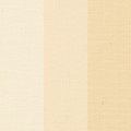 palomino4.jpg
