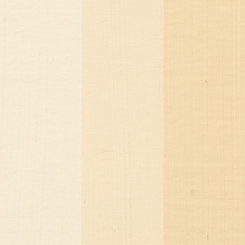 palomino4.jpg