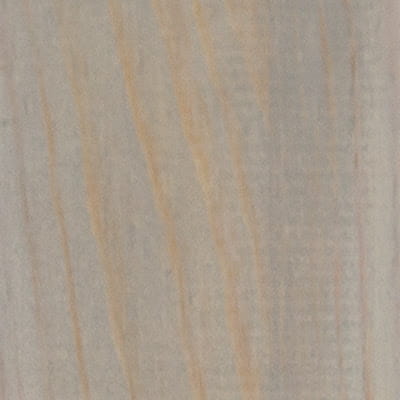driftwood.jpg