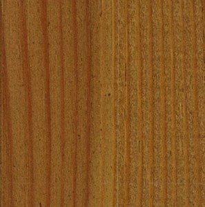 Lazura Oak dąb